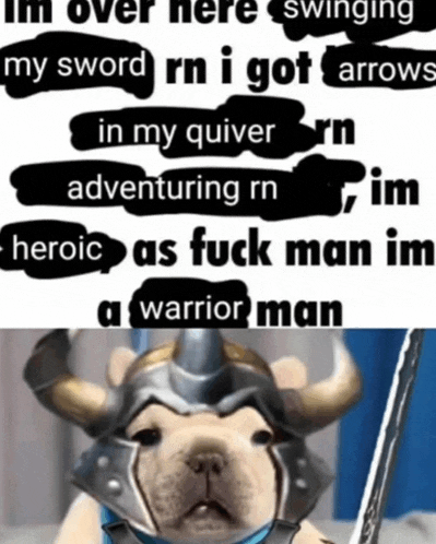 a dog wearing a viking helmet and holding a sword with the words im over here swinging my sword on the bottom