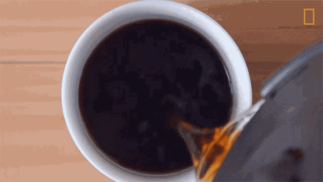 Coffee National Geographic GIF - Coffee National Geographic Pouring A Cup GIFs