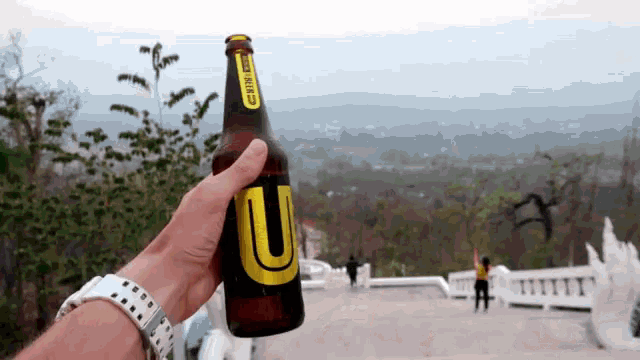 a person is holding a bottle of beer with the letter u on the label