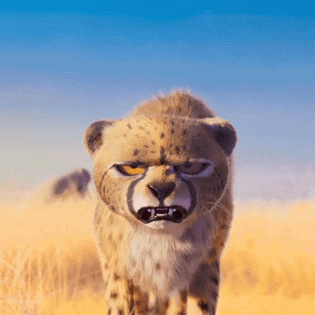 Anger Cheetah GIF - Anger Cheetah Danger GIFs