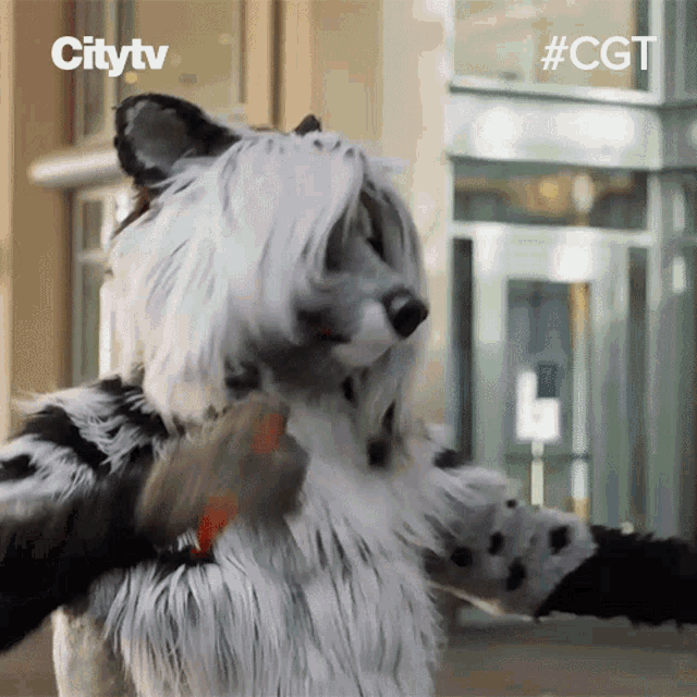 Hair Flip Cassidy Civet GIF - Hair Flip Cassidy Civet Canadas Got Talent GIFs