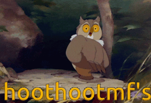 Hoothoot Mf Owl GIF - Hoothoot Mf Owl Friend Owl GIFs