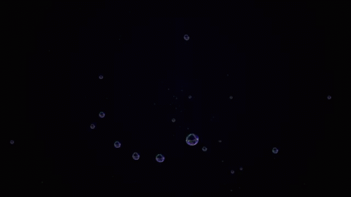 Midburn Bubble GIF - Midburn Bubble Temple GIFs