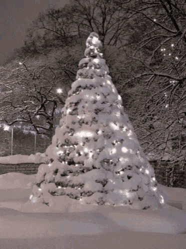 a snow covered christmas tree is lit up with white lights