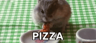 Pizza Munch GIF - Pizza Munch Nibble GIFs