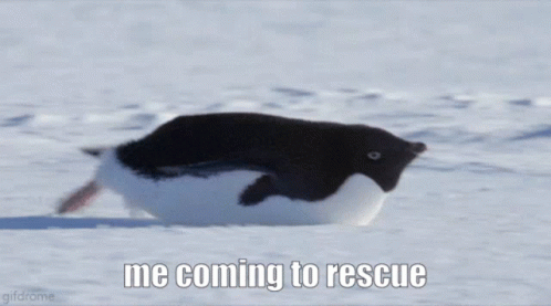 Penguin Rescue GIF - Penguin Rescue GIFs