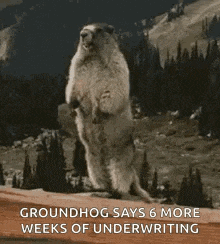 a groundhog is standing on its hind legs on top of a wooden plank .