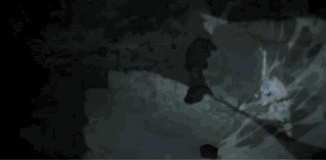 a painting of a person flying through the air in the dark