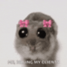 a close up of a hamster wearing a pink bow on its eyes .