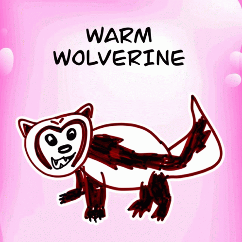 Warm Wolverine Veefriends GIF - Warm Wolverine Veefriends Friendly GIFs