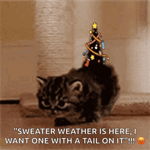 Kitten Christmas GIF - Kitten Christmas GIFs