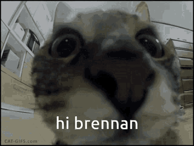 Hi Hi Brennan GIF - Hi Hi Brennan Brennan GIFs