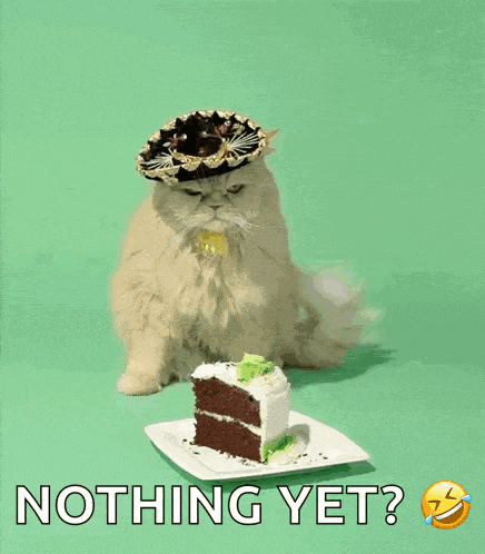 a cat wearing a sombrero sits next to a slice of cake on a plate