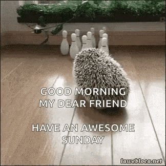 a hedgehog is walking on a wooden floor in front of bowling pins .