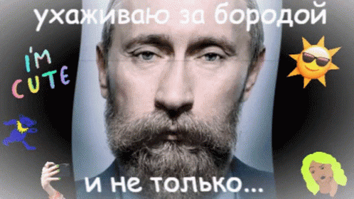 Putin Beard GIF - Putin Beard Cool GIFs