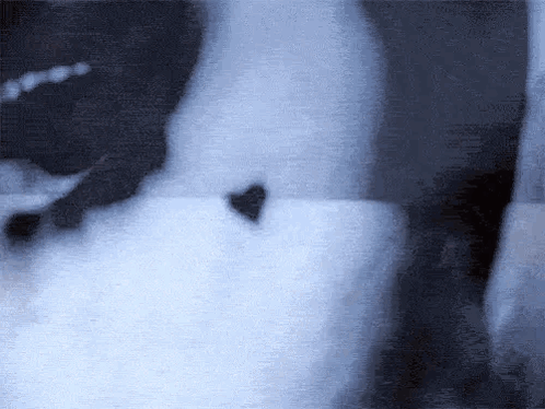 Blackandwhite Heart Images GIF - Blackandwhite Heart Images GIFs