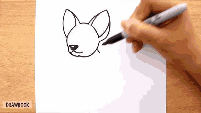 a person is drawing a chihuahua on a piece of paper with a marker ..