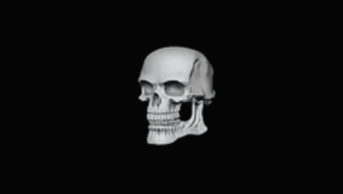 Bad To The Bone Meme GIF - Bad To The Bone Meme Skeleton GIFs