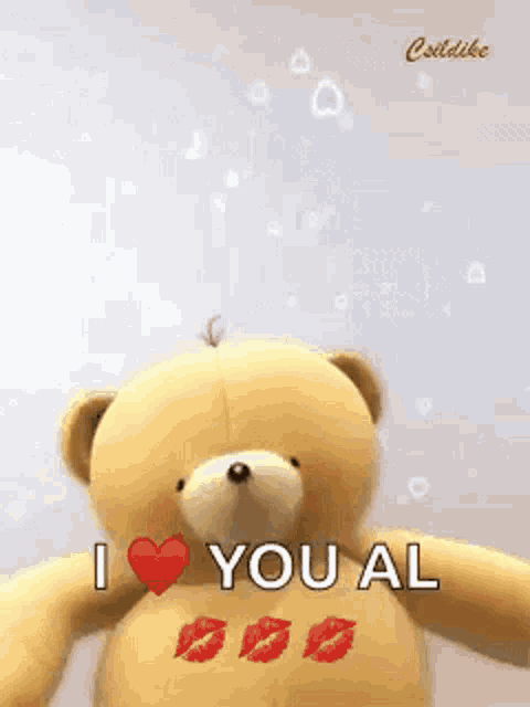 a teddy bear is holding a red heart and says `` i love you '' .