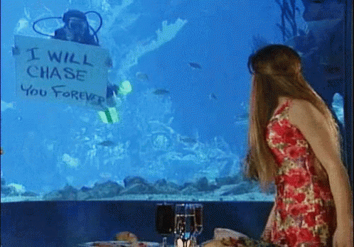 Romantic Or Stalker? GIF - Swimming Scuba Chase You GIFs