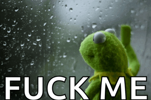 a kermit the frog is looking out a window with the words fuck me written below him