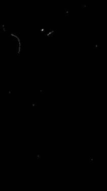 a girl with a crown on her head and the word community on the bottom right