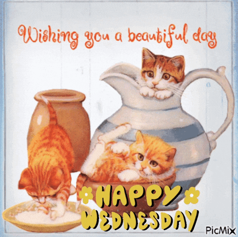 a happy wednesday greeting card with cats and a pitcher