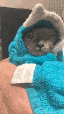 a cat wrapped in a blue towel with a label on it