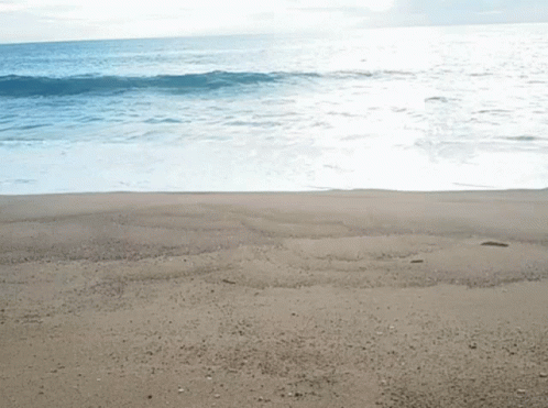 Water Waves GIF - Water Waves Beach GIFs