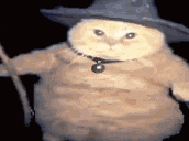 a cat wearing a witch hat and holding a wand .