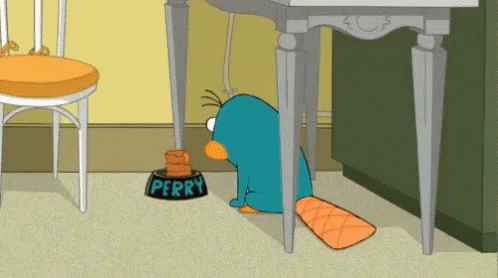 Perry Hungry GIF - Perry Hungry GIFs