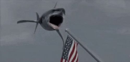 Shark Flag GIF - Shark Flag Flying GIFs