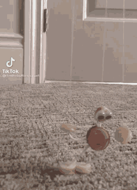 a small toy is walking on a carpet in front of a door .
