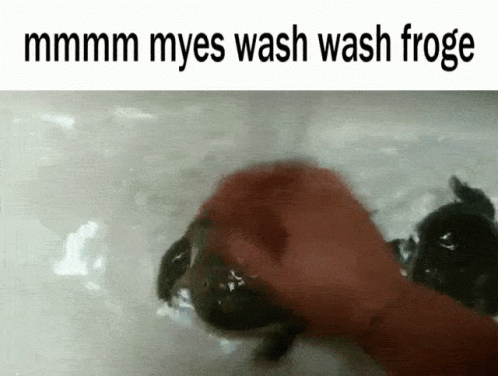 Mmmm Myes Wash Froge Cute GIF - Mmmm Myes Wash Froge Cute Funny GIFs