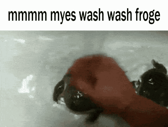 a person is washing a frog in a bathtub with the words " mmmm myes wash wash froge "