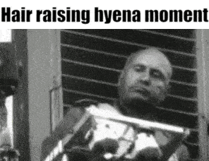 a black and white photo of a man holding a stick in front of a window with the caption `` hair raising hyena moment '' .