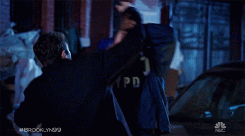 Fighting Captain Ray Holt GIF - Fighting Captain Ray Holt Andre Braugher GIFs