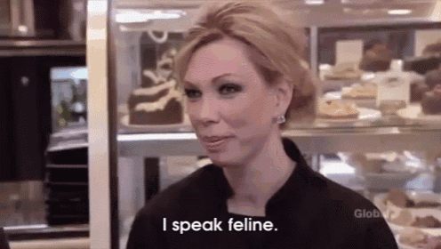 a woman is standing in front of a display case with cakes and says `` i speak feline . ''