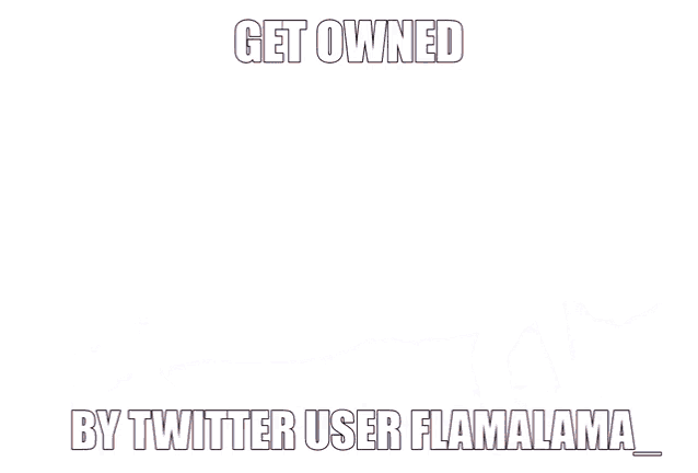 a woman is doing a plank exercise with the caption get owned by twitter user flamalama