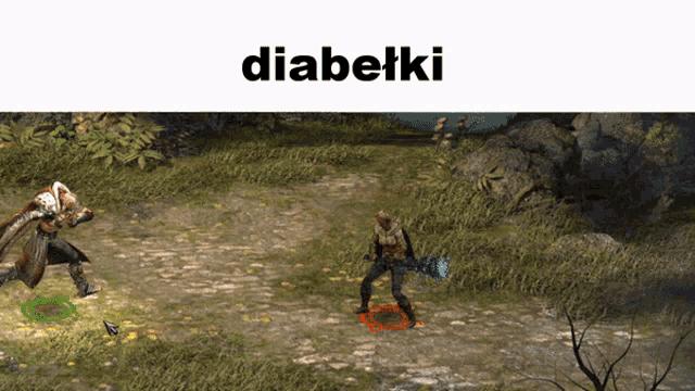a screenshot of a video game with the word diabelki on top