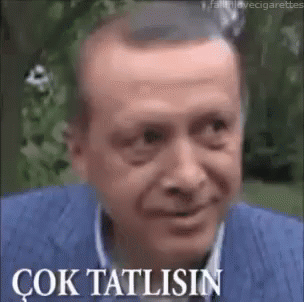 çok Tatlısın GIF - Cok Tatlisin Recep Tayyip Erdogan Akp GIFs