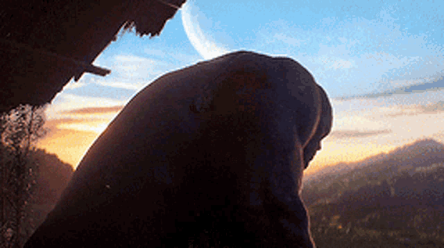 a silhouette of a person looking out a window at the sunset