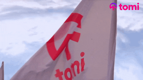 a red and white flag with the word toni on it