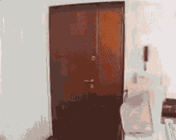 a brown door is open in a room with a computer monitor
