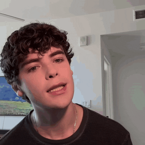 a young man with curly hair is wearing a black sweater