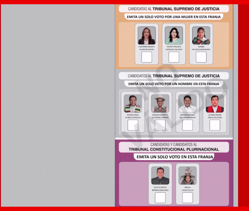 a list of candidates for the tribunal supremo de justicia is shown