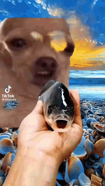a person is holding a fish in their hand with a picture of a dog behind it .