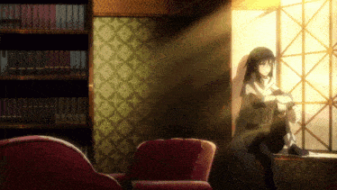 a woman sits on a window sill in a room with bookshelves