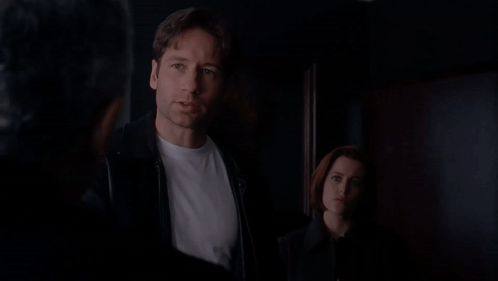Have We Met Mulder GIF - Have We Met Mulder Xfiles GIFs