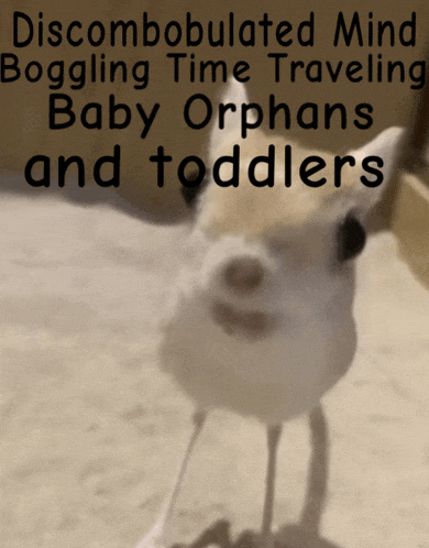 a picture of a bird with the words discombobulated mind bogging time traveling baby orphans and toddlers below it